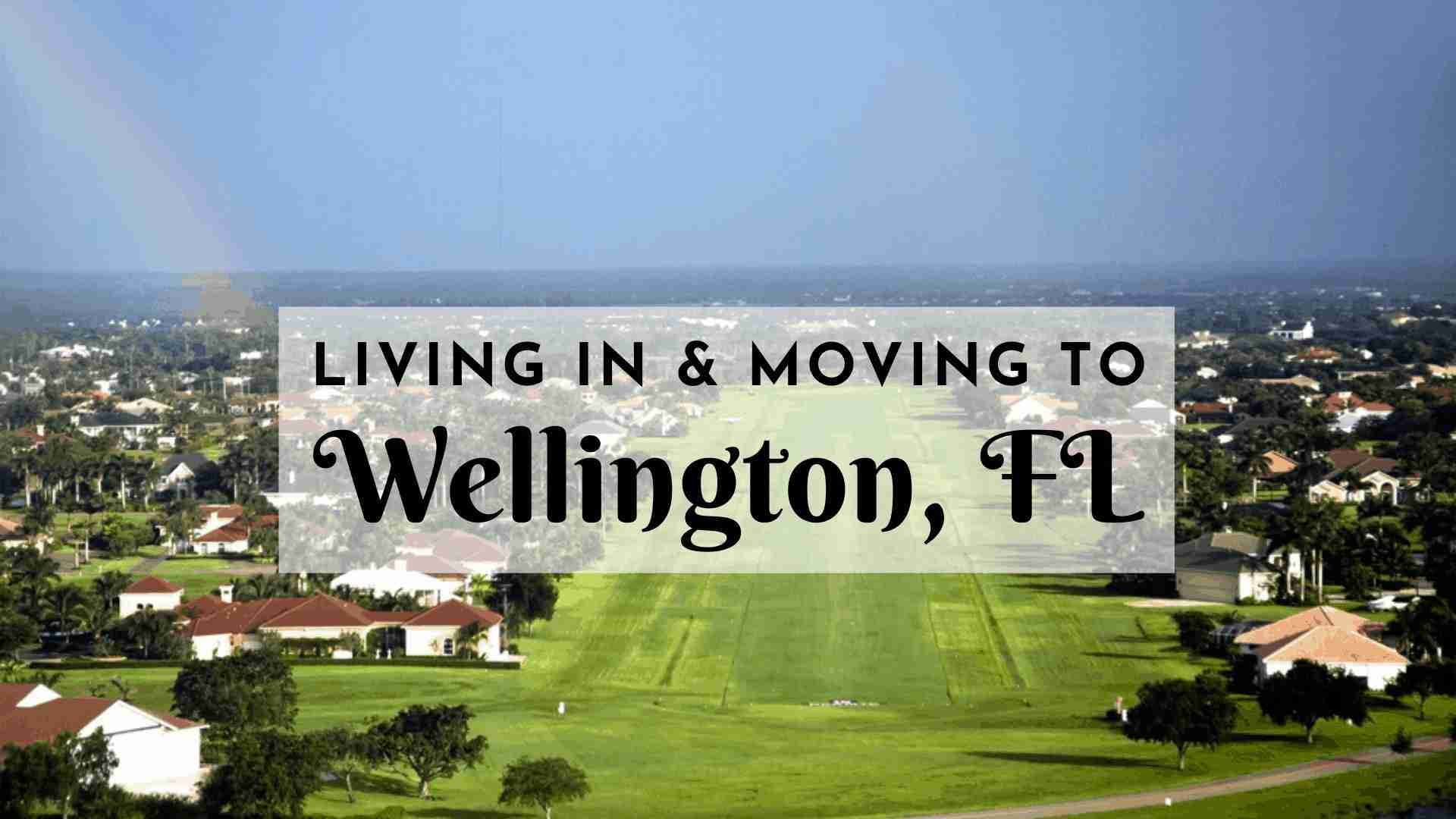 moving-to-wellington